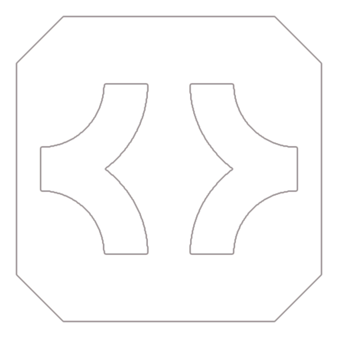 Developer